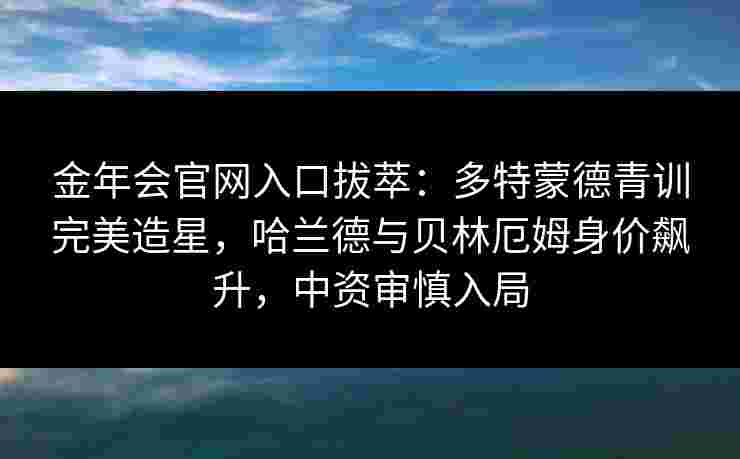 金年会官网入口拔萃：多特蒙德青训完美造星，哈兰德与贝林厄姆身价飙升，中资审慎入局